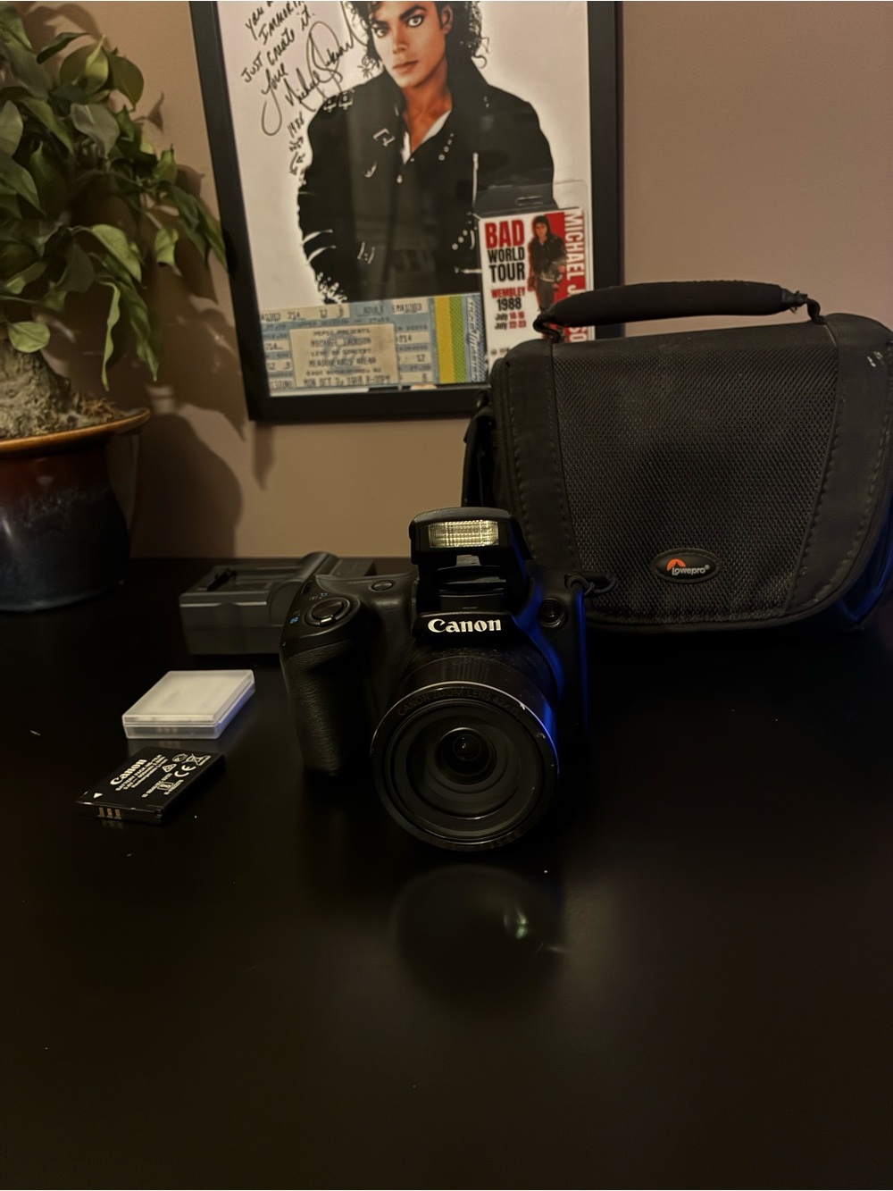 Canon SX420 IS